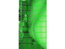 St Paul MN THIiCK hamung virgin hymen