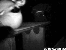 Nachts auf Autobahn Parkplatz als Hobbynutte zeigen Teil 01