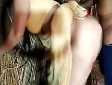 Busty Indian Girl Strips