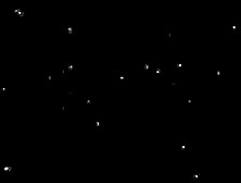 Brunette co-ed Tuesday Cross does fellatio & screws boner