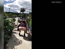 Horny wife public flashing