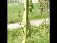 Flexible Snake Lady Crawling In Nature