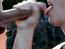 Reiten und geritten werden...