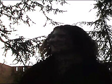 Video Dossier: ITALIA senza VERGOGNA - delirio #45