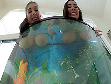 Busty Girls Alex Chance And Karlee Grey Wets Their Boobs In The Aquarium