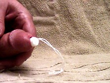 Tampon Inserted In A Cock Hole