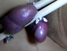 Painful Ballbusting: Amateur Asian Bdsm Masturbation