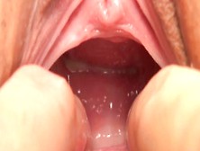 Japanese fur pie play 42