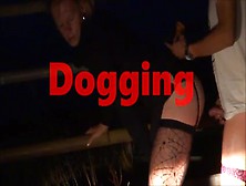 Dogging Hiver 2015