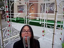 Racial & Puppy Role Play that Turns into Finding a Wedding Chapel Cage for this little Thai sub