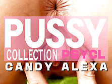 Pussy Collection Candy Alexa - Candy Alexa - Kin8Tengoku