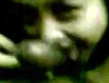 Malay Babe Hashimah Cheras Blowjob