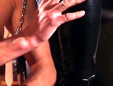 Who's Afraid of the Domina