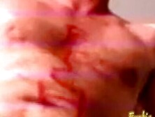 Watch lovely kitten's scene