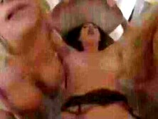 BrandiLove & Britney Amber Share Their Lesbian Secrets With You" or "Lesbians Gone Wild - MILF'S Tutor Two Girls To Suck