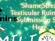 Shamestream: Testicular Ruin - Your Submission Starts Here