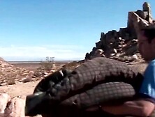 Breathtaking hitchhiker Naomi Russell gets her ideal tushy railed in the midst of the desert