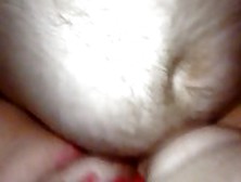 Juicy Fat Pussy Fucked