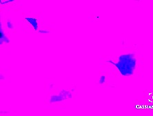 This Babe touched me,  gave me a massage that made me very sexually excited and very moist until I cum on her fingers,  then my al