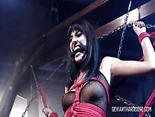 Kinky Janice Griffith Bdsm Porn Video