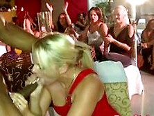 Real Interracial Cfnm Blowjob Party With Blond