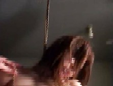 Japanese Bdsm Slaves 1