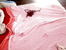 Amateur wife fingers pussy until orgasm. Latin pussy hair masturbation orgasm.