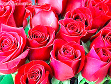 Big titty new wife Desi Mazaa ready to please