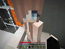 Minecraft Porn (Pov)