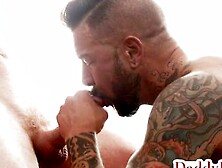 Daddy Bottom - Top Twunk Bareback Fucks Tattooed Hunks Asshole After Bj