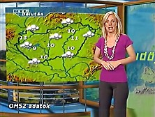 Weather Reporting Lady 2