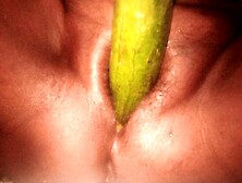 Indian Wife Fucked Pussy With Cucumber