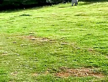 Anal on a Dog Walk: Free Aged HD Porn Episode 27 - xHamster - xHamster