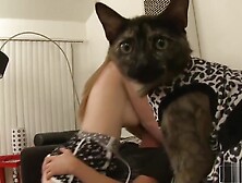 Faye Reagan Is A Magnet For Cocks