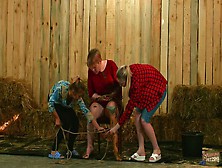 Lesbian Cow Shit Martyrdom - Threesome Bdsm In Cow Dung