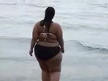 Bbw At The Beach