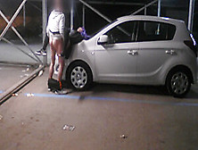 Strichnutte auf dem Auto gefickt