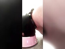 Pathetic Skank Drinks Piss From Bowl