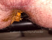 Sloppy Shit Feed - FULL VID is 22 MIN