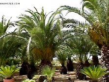 Schokomaus - Pink Madame