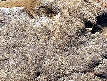 The lifeguard on the beach decided to check my anus by orgasm in it