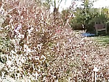 look at whats going on at cactus land