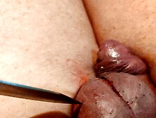 New tortures every day 3.