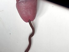 Worm In Cock