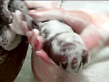 Stepdaughter's Sleazy Shower ~ Stepdad's Giant 12-Inch Is Just To MONSTROUS For Her Tight Rear-end