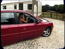 British Sweetheart in the sun 05