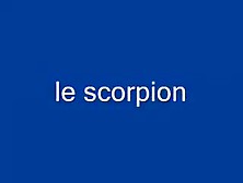 Le Scorpion