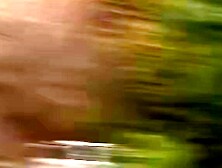 BETRAYAL OF PASSION Mikis Torrid Affair with a Stranger Who Lures Her with Lust and Deceit