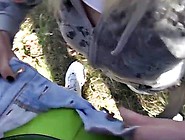 Bj teenagers thrown while waiting on the bus