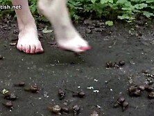 I'm looking for a 1080p version of this video